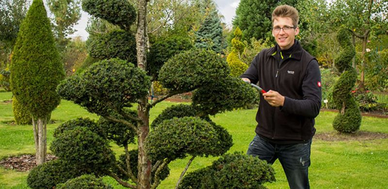 Gartengestaltung Pflege