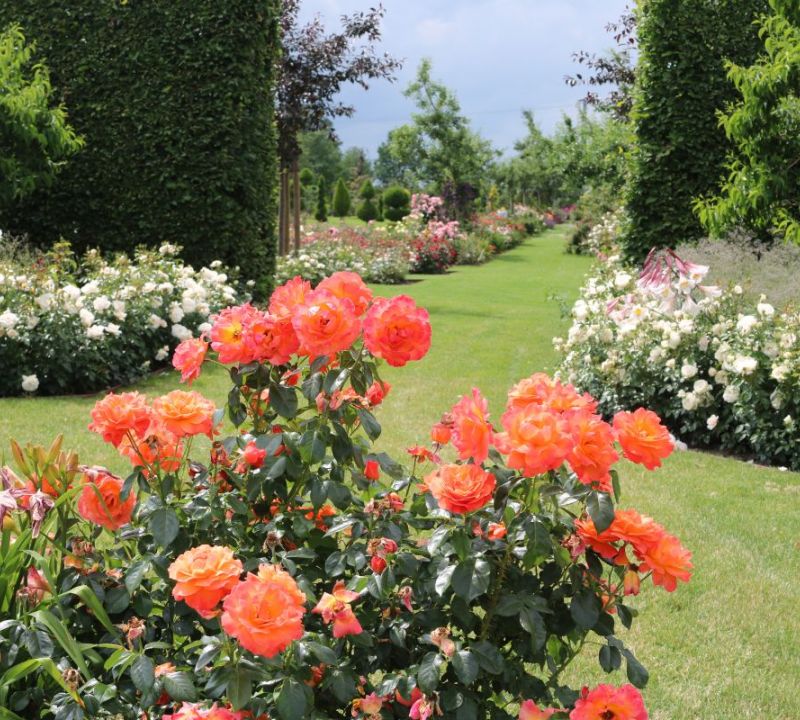 Götzes Garten