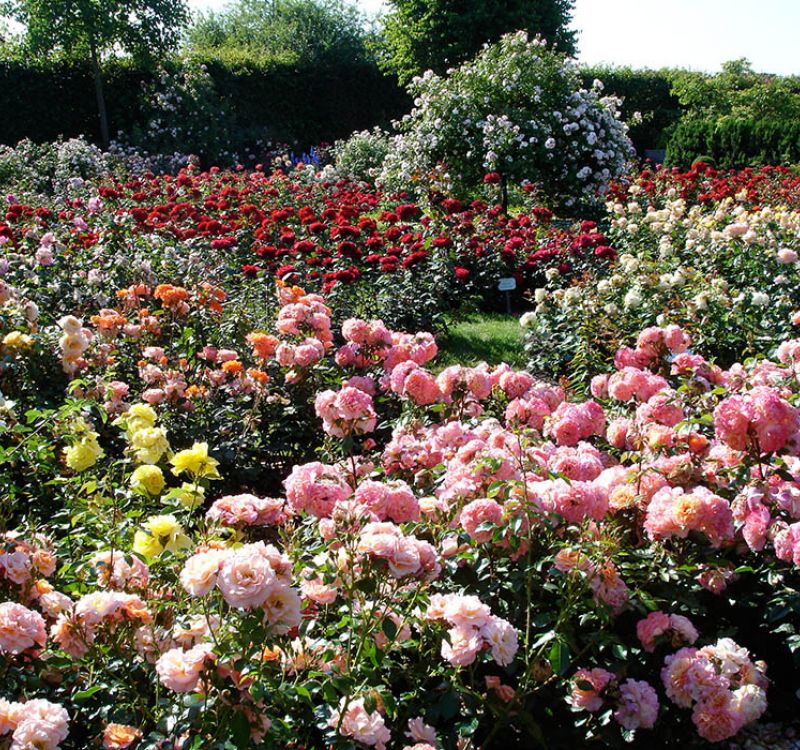 Schaugarten