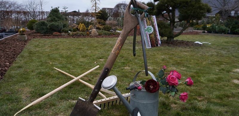Gartengestaltung Pflege