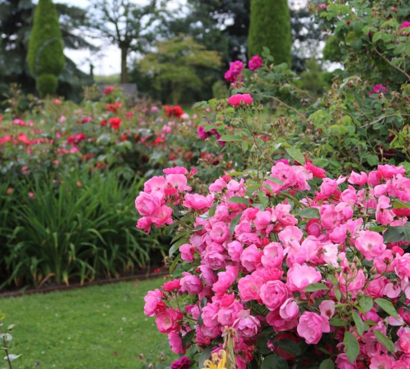 Götzes Garten