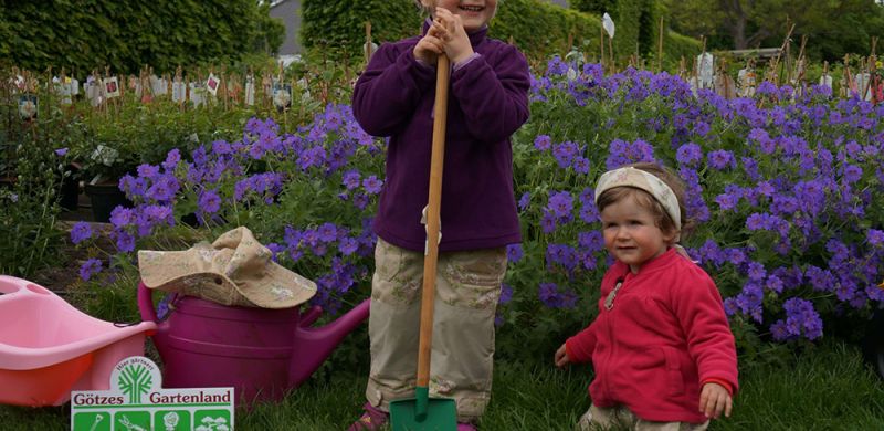 Gartengestaltung Pflege