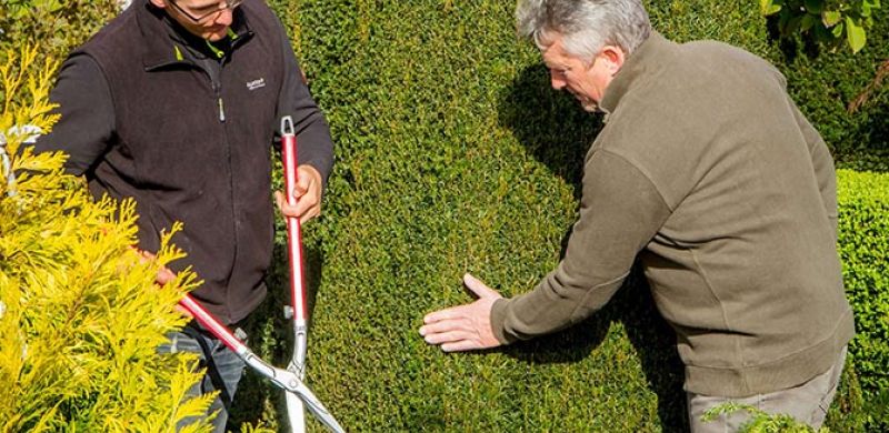 Gartengestaltung Pflege